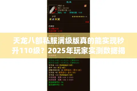 天龙八部私服满级版真的能实现秒升110级?2025年玩家实测数据揭秘 天龙八部私服满级版真的能实现秒升110级?2025年玩家实测数据揭秘