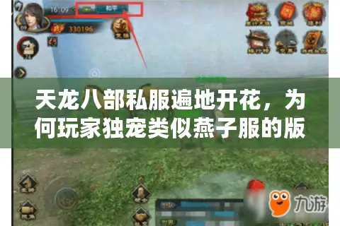 天龙八部私服遍地开花,为何玩家独宠类似燕子服的版本? 天龙八部私服遍地开花,为何玩家独宠类似燕子服的版本?
