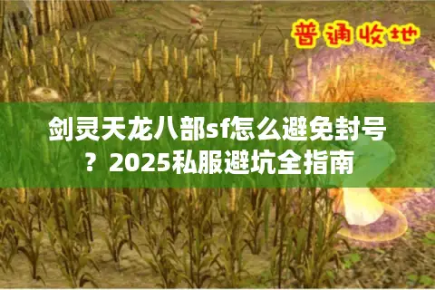 剑灵天龙八部sf怎么避免封号?2025私服避坑全指南 剑灵天龙八部sf怎么避免封号?2025私服避坑全指南