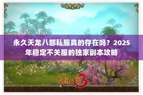 永久天龙八部私服真的存在吗？2025年稳定不关服的独家副本攻略