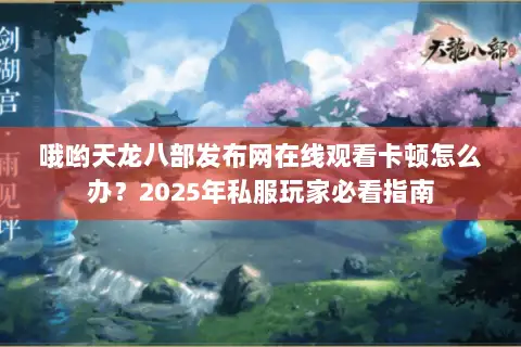 哦哟天龙八部发布网在线观看卡顿怎么办？2025年私服玩家必看指南