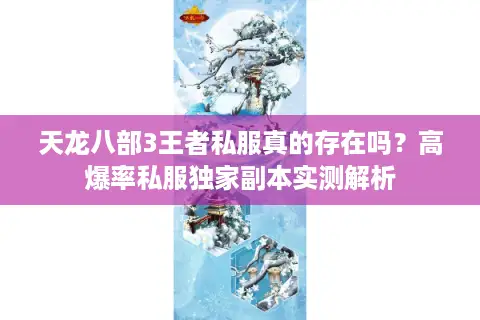 天龙八部3王者私服真的存在吗？高爆率私服独家副本实测解析