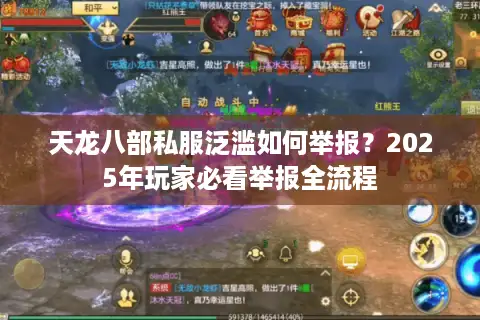 天龙八部私服泛滥如何举报？2025年玩家必看举报全流程