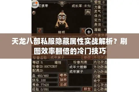 天龙八部私服隐藏属性实战解析？刷图效率翻倍的冷门技巧