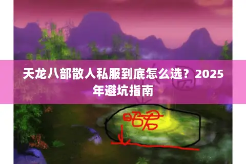 天龙八部散人私服到底怎么选？2025年避坑指南