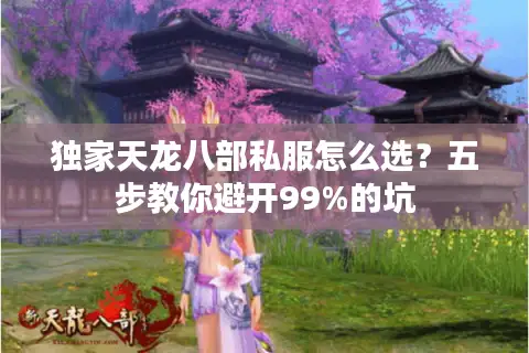 独家天龙八部私服怎么选？五步教你避开99%的坑