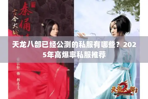 天龙八部已经公测的私服有哪些？2025年高爆率私服推荐