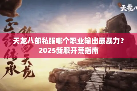 天龙八部私服哪个职业输出最暴力？2025新服开荒指南