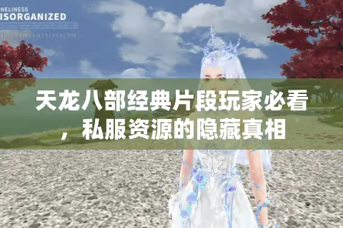 天龙八部经典片段玩家必看，私服资源的隐藏真相