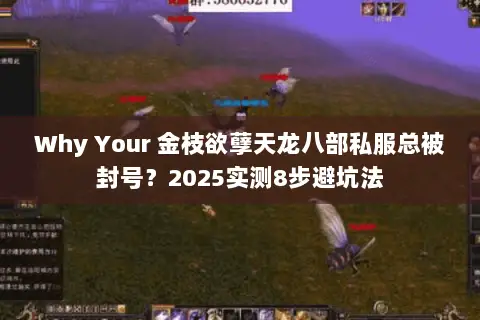 Why Your 金枝欲孽天龙八部私服总被封号?2025实测8步避坑法 Why Your 金枝欲孽天龙八部私服总被封号?2025实测8步避坑法