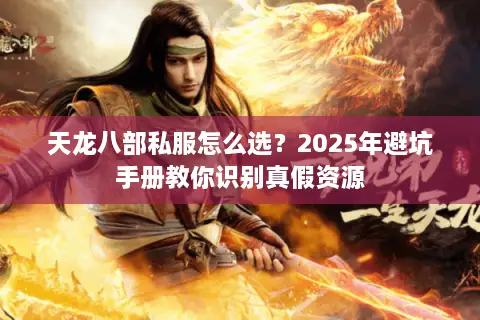 天龙八部私服怎么选？2025年避坑手册教你识别真假资源