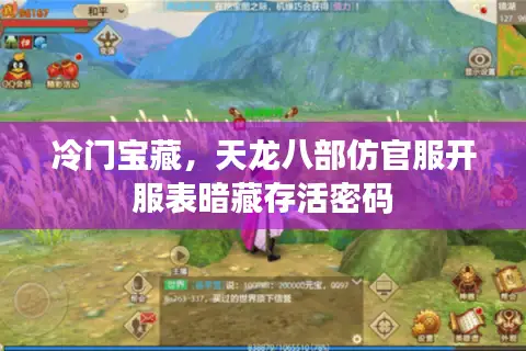 冷门宝藏,天龙八部仿官服开服表暗藏存活密码 冷门宝藏,天龙八部仿官服开服表暗藏存活密码