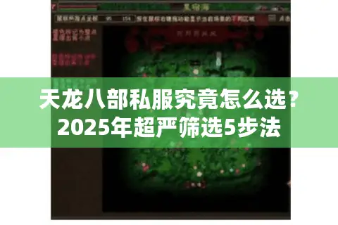天龙八部私服究竟怎么选？2025年超严筛选5步法