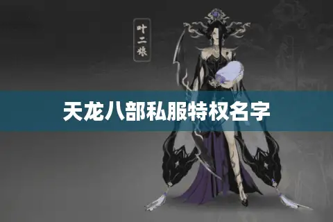 天龙八部私服特权名字 天龙八部私服特权名字