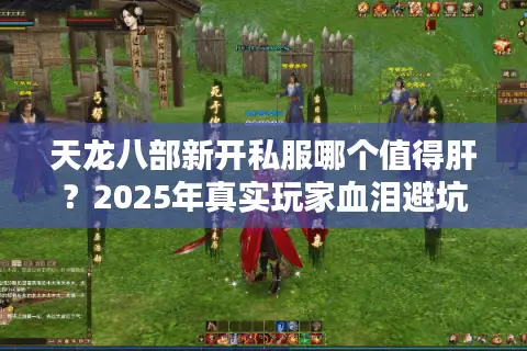 天龙八部新开私服哪个值得肝？2025年真实玩家血泪避坑手册