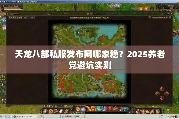 天龙八部私服发布网哪家稳？2025养老党避坑实测
