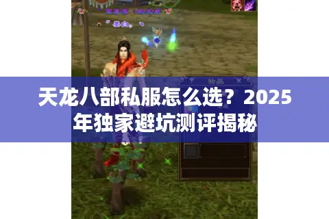 天龙八部私服怎么选？2025年独家避坑测评揭秘