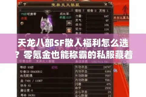 天龙八部SF散人福利怎么选?零氪金也能称霸的私服藏着哪些坑 天龙八部SF散人福利怎么选?零氪金也能称霸的私服藏着哪些坑