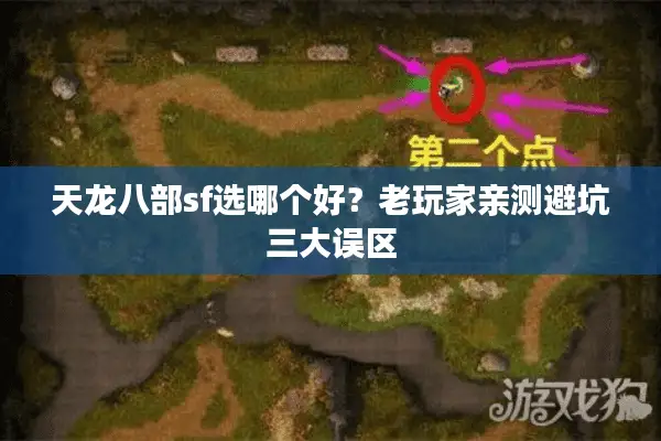 天龙八部sf选哪个好?老玩家亲测避坑三大误区 天龙八部sf选哪个好?老玩家亲测避坑三大误区