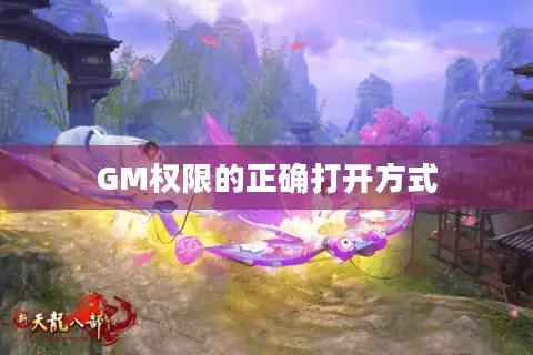 GM权限的正确打开方式 GM权限的正确打开方式