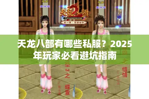 天龙八部有哪些私服？2025年玩家必看避坑指南