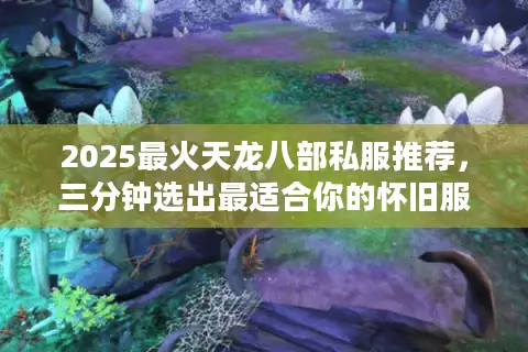 2025最火天龙八部私服推荐，三分钟选出最适合你的怀旧服