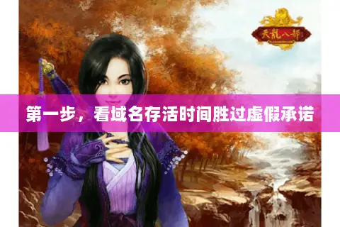 第一步，看域名存活时间胜过虚假承诺