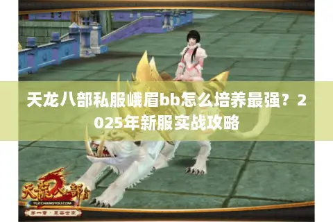 天龙八部私服峨眉bb怎么培养最强？2025年新服实战攻略