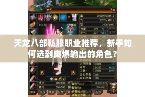 天龙八部私服职业推荐，新手如何选到爽爆输出的角色？