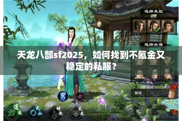 天龙八部sf2025，如何找到不氪金又稳定的私服？