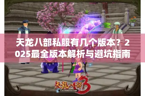 天龙八部私服有几个版本？2025最全版本解析与避坑指南