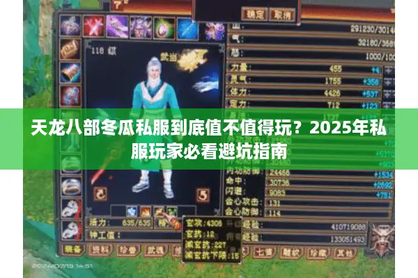 天龙八部冬瓜私服到底值不值得玩？2025年私服玩家必看避坑指南