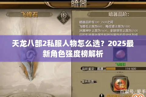 天龙八部2私服人物怎么选？2025最新角色强度榜解析