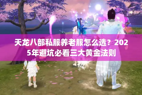 天龙八部私服养老服怎么选？2025年避坑必看三大黄金法则