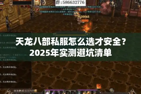 天龙八部私服怎么选才安全？2025年实测避坑清单