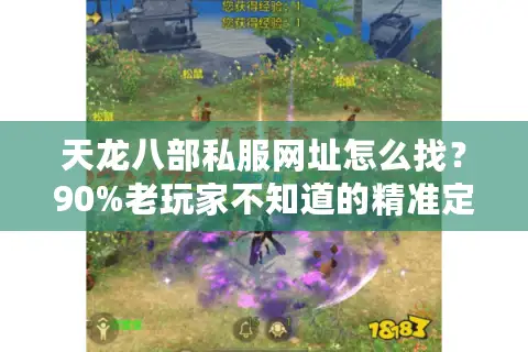 天龙八部私服网址怎么找？90%老玩家不知道的精准定位法