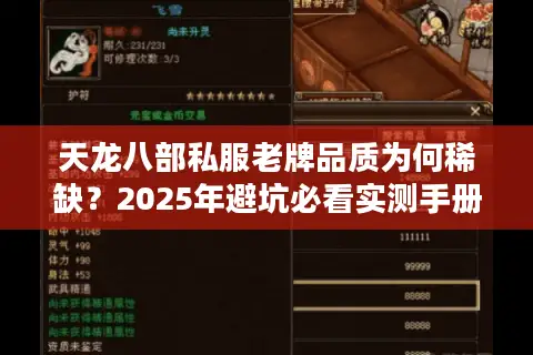 天龙八部私服老牌品质为何稀缺？2025年避坑必看实测手册
