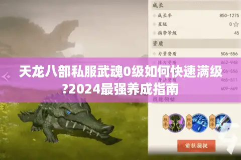 天龙八部私服武魂0级如何快速满级?2024最强养成指南 天龙八部私服武魂0级如何快速满级?2024最强养成指南