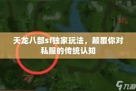 天龙八部sf独家玩法，颠覆你对私服的传统认知