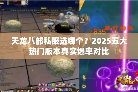 天龙八部私服选哪个？2025五大热门版本真实爆率对比