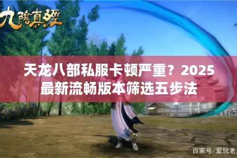 天龙八部私服卡顿严重？2025最新流畅版本筛选五步法