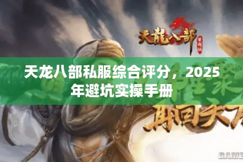 天龙八部私服综合评分，2025年避坑实操手册