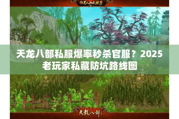 天龙八部私服爆率秒杀官服?2025老玩家私藏防坑路线图 天龙八部私服爆率秒杀官服?2025老玩家私藏防坑路线图