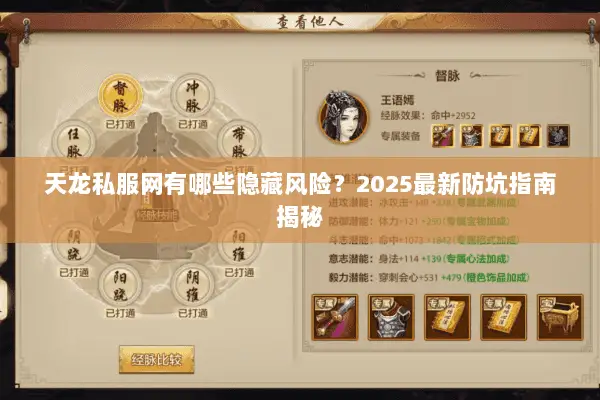 天龙私服网有哪些隐藏风险？2025最新防坑指南揭秘
