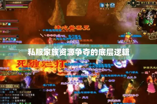 私服家族资源争夺的底层逻辑