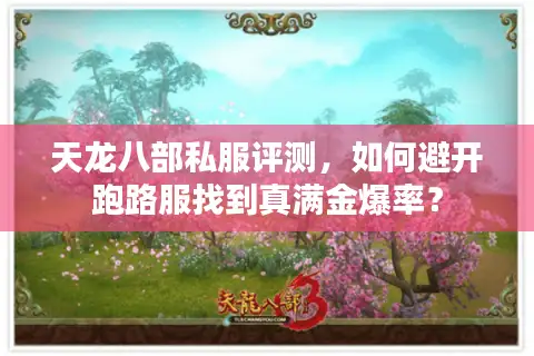 天龙八部私服评测，如何避开跑路服找到真满金爆率？