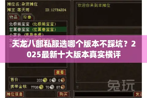 天龙八部私服选哪个版本不踩坑?2025最新十大版本真实横评 天龙八部私服选哪个版本不踩坑?2025最新十大版本真实横评