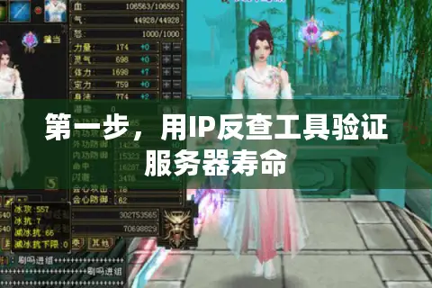 第一步，用IP反查工具验证服务器寿命