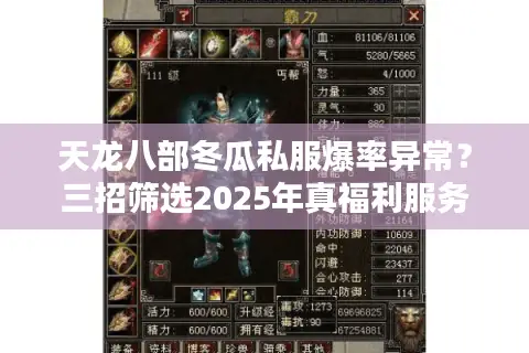 天龙八部冬瓜私服爆率异常？三招筛选2025年真福利服务器