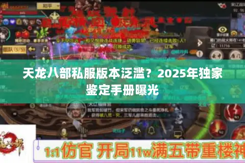 天龙八部私服版本泛滥？2025年独家鉴定手册曝光